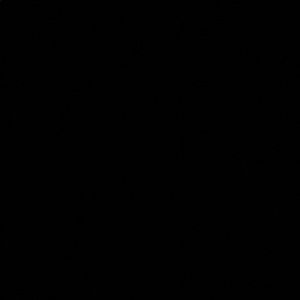 Meet your Posher, Alina